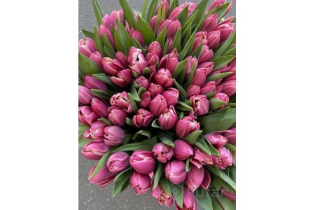 Букет тюльпанов №12