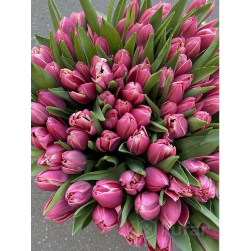 Букет тюльпанов №12