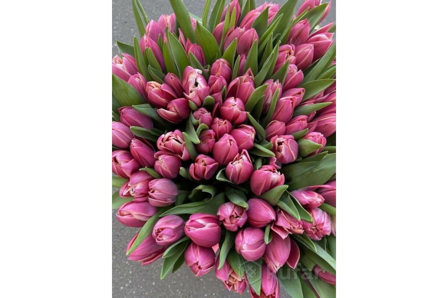 Букет тюльпанов №12