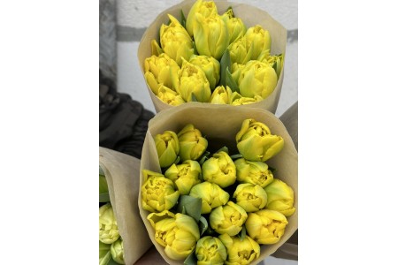 Букет тюльпанов №19