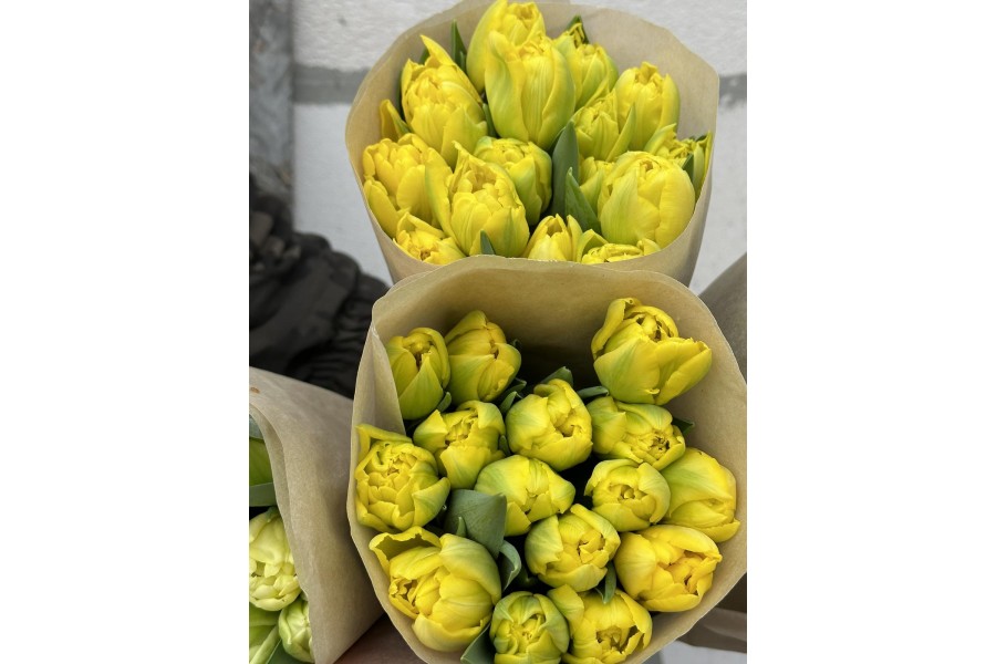 Букет тюльпанов №19